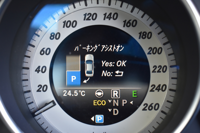 メルセデスベンツ Eクラス E250 AVG AMGｽﾎﾟｰﾂ ﾚｰﾀﾞｰｾｰﾌﾃｨP 後期 ﾊﾟﾉﾗﾏｻﾝﾙｰﾌ ﾋｰﾀｰ半革 ﾃﾞｨｽﾄﾛﾆｯｸﾌﾟﾗｽ ﾌﾞﾗｲﾝﾄﾞｽﾎﾟｯﾄ Lｷｰﾌﾟ ｷｰﾚｽGo AMGｴｱﾛ18AW ﾊﾟｰｸﾄﾛ LEDﾍｯﾄﾞ 駐車支援 地ﾃﾞｼﾞﾅﾋﾞ ﾊﾞｯｸｶﾒﾗ 2年保証