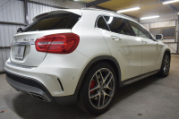 AMG GLA GLA45 4ﾏﾁｯｸ ﾚｰﾀﾞｰｾｰﾌﾃｨP 高出力ｴﾝｼﾞﾝ360馬力 ﾊﾟﾉﾗﾏｻﾝﾙｰﾌ ﾋｰﾀｰ黒革 ﾃﾞｨｽﾄﾛﾆｯｸﾌﾟﾗｽ ﾌﾞﾗｲﾝｯﾄﾞｽﾎﾟｯﾄ ﾚｰﾝｷｰﾌﾟ AMGｴｱﾛ19AW ｷｰﾚｽGO ﾊﾟｰｸﾄﾛﾆｯｸ 地デジBｶﾒﾗ 2年保証