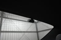 メルセデスベンツ Eクラス E200 AVG AMGﾗｲﾝ ｴｸｽｸﾙｰｼﾌﾞP ﾚｰﾀﾞｰｾｰﾌﾃｨP 中期型 BSG搭載 黒革 ﾌﾞﾙﾒｽﾀｰ ﾍｯﾄﾞｱｯﾌﾟD ｴｱﾊﾞﾗﾝｽP 電動ﾄﾗﾝｸ AMGｴｱﾛ19AW ﾃﾞｨｽﾄﾛﾆｯｸ ﾌﾞﾗｲﾝﾄﾞｽﾎﾟｯﾄ ﾚｰﾝｷｰﾌﾟ ﾅﾋﾞTV 360ｶﾒﾗ ｷｰﾚｽGO 2年保証