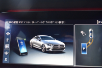 メルセデスベンツ CLS CLS450 4M ｽﾎﾟｰﾂ ｴｸｽｸﾙｰｼﾌﾞ ﾚｰﾀﾞｰSP 367馬力 ISG搭載 MEｺﾈ ｻﾝﾙｰﾌ 全席ﾋｰﾀｰ&ｸｰﾗｰ黒革 ACC BSM AMGｴｱﾛ19AW ｷｰGO ﾌｯﾄﾄﾗﾝｸ ﾌﾞﾙﾒｽﾀｰ HUD 地ﾃﾞｼﾞ360ｶﾒﾗ 2年保証