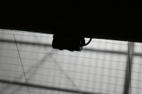 メルセデスベンツ Cクラス C220dﾜｺﾞﾝ ﾛｰﾚｳｽED ｽﾎﾟｰﾂﾌﾟﾗｽP ﾚｰﾀﾞｰｾｰﾌﾃｨP 後期型 ﾃﾞｨｰｾﾞﾙ 194馬力/燃費18.9 MEｺﾈ 9速 ﾊﾟﾉﾗﾏSR ﾋｰﾀｰ黒本革 ﾃﾞｨｽﾄﾛ BSM Lﾁｪﾝｼﾞ AMGｴｱﾛ18AW ｷｰﾚｽGO PTS 液晶ﾒｰﾀｰ HUD ﾌｯﾄｹﾞｰﾄ ﾌﾞﾙﾒｽﾀｰ 地ﾃﾞｼﾞﾅﾋﾞ 360ﾊﾞｯｸｶﾒﾗ 2年保証