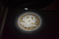 メルセデスベンツ Eクラス E43 4M ｴｸｽｸﾙｰｼﾌﾞ ﾚｰﾀﾞｰｾｰﾌﾃｨP ﾐｰｺﾈｸﾄ ﾊﾟﾉﾗﾏｻﾝﾙｰﾌ 全席ﾋｰﾀｰ茶革 ﾃﾞｨｽﾄﾛﾆｯｸ ﾌﾞﾗｲﾝﾄﾞｽﾎﾟｯﾄ ﾚｰﾝﾁｪﾝｼﾞA AMGｴｱﾛ20AW ﾌﾞﾙﾒS 地ﾃﾞｼﾞ360ｶﾒﾗ 2年保証