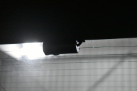 メルセデスベンツ Eクラス E200 ｸｰﾍﾟ ｽﾎﾟｰﾂ ﾚｻﾞｰP ﾚｰﾀﾞｰｾｰﾌﾃｨP  ﾊﾟﾉﾗﾏｻﾝﾙｰﾌ ﾋｰﾀｰ赤黒革 ﾃﾞｨｽﾄﾛ BSM Lﾁｪﾝｼﾞ AMGｴｱﾛ19AW ｷｰﾚｽGO ﾊﾟｰｸﾄﾛ HUD ﾌﾞﾙﾒS ﾏﾙﾁｶﾗｰｱﾝﾋﾞｴﾝﾄ 純正ﾅﾋﾞ 360ｶﾒﾗ 2年保証